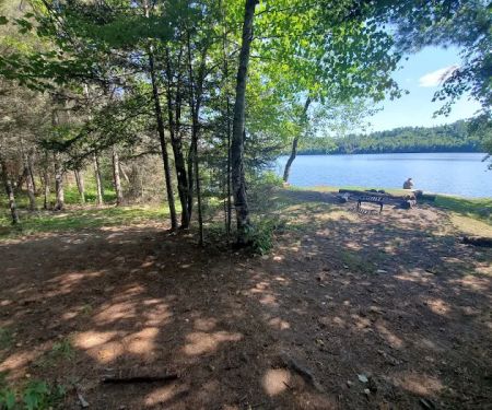 Upper Bass Lake Campsite