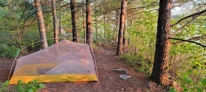BWCA Campsite #1991 Picture 2