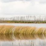 Marathon Lake Campsite - Powwow Trail