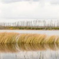 Marathon Lake Campsite - Powwow Trail ico