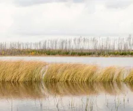 Marathon Lake Campsite - Powwow Trail