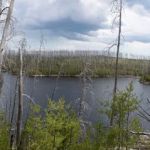 South Wilder Lake Campsite - Powwow Trail