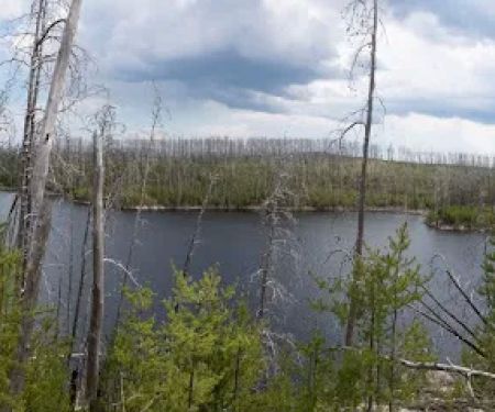 South Wilder Lake Campsite - Powwow Trail