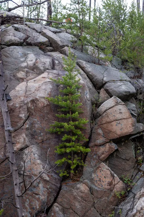 South Wilder Lake Campsite - Powwow Trail Picture 4