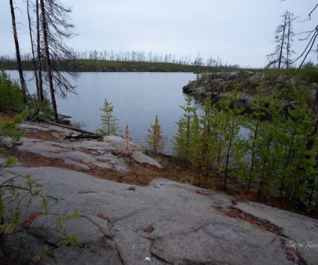 North Wilder Lake Campsite - Powwow Trail