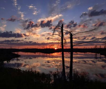 Pose Lake Campsite - Powwow Trail