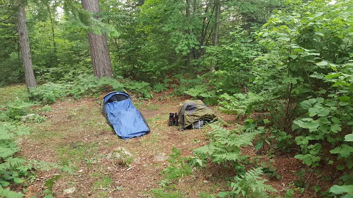 Nels Lake Picture 3