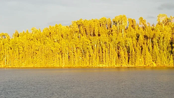 Nels Lake Picture 7