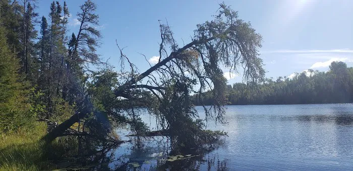 Nels Lake Picture 10