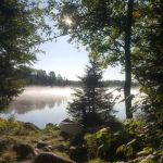 Whitefish Lake Rustic Campgd & Timber-Frear Area