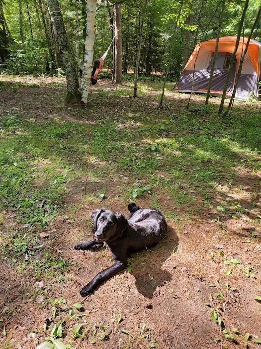 Buttonbox Lake Campground Picture 6