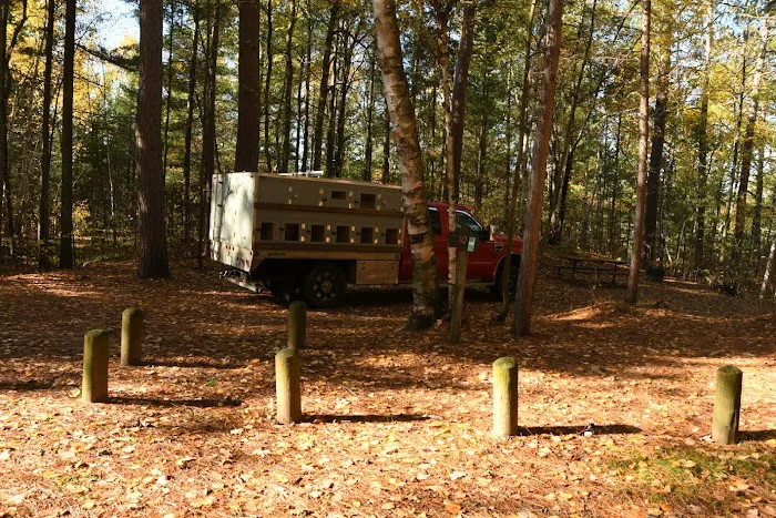 Buttonbox Lake Campground Picture 3