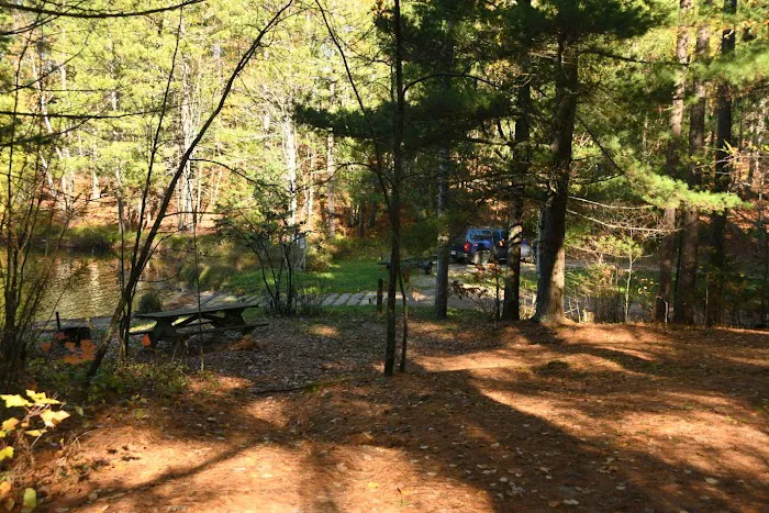 Buttonbox Lake Campground Picture 5