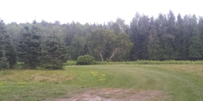Samuelson Park Picture 8