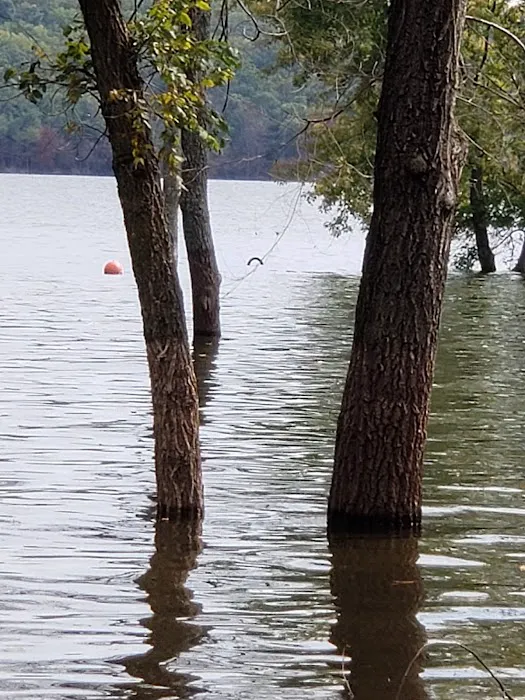 Walnut Campground Picture 4