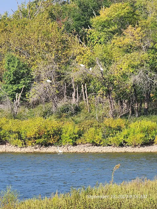 Walnut Campground Picture 7