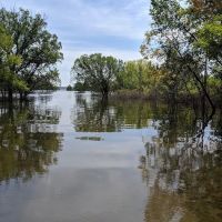 Hickory Campground ico
