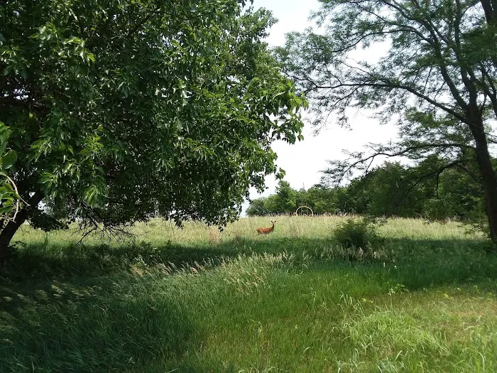 Hickory Campground Picture 10
