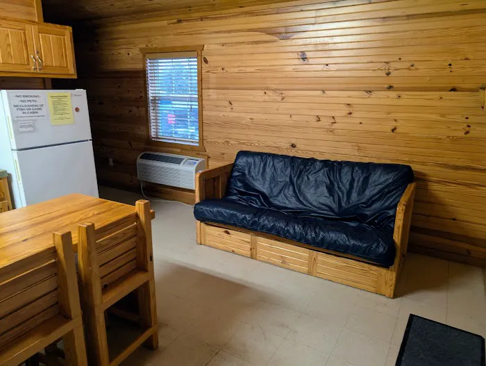 Washington Creek Cabin Picture 7