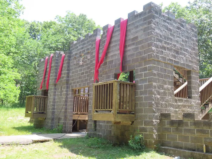 Cub World Castle Picture 1