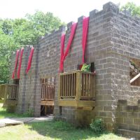 Cub World Castle ico