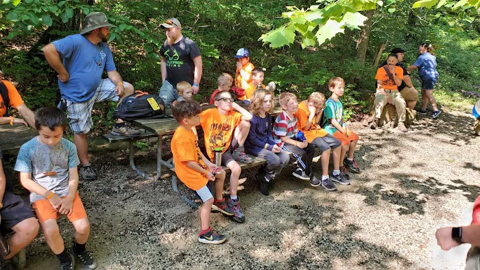 Cub World Campfire Arena Picture 8