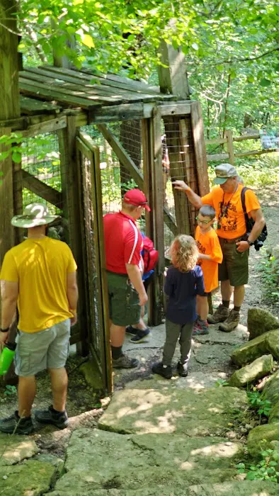 Cub World Campfire Arena Picture 6