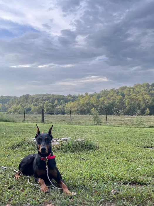 Big Rock Camp Grounds Picture 10