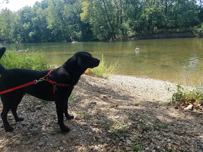 Big Rock Camp Grounds Picture 3