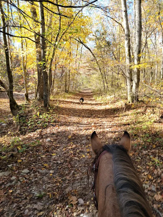 Underwood's Crag-O-Lea Campground Picture 9