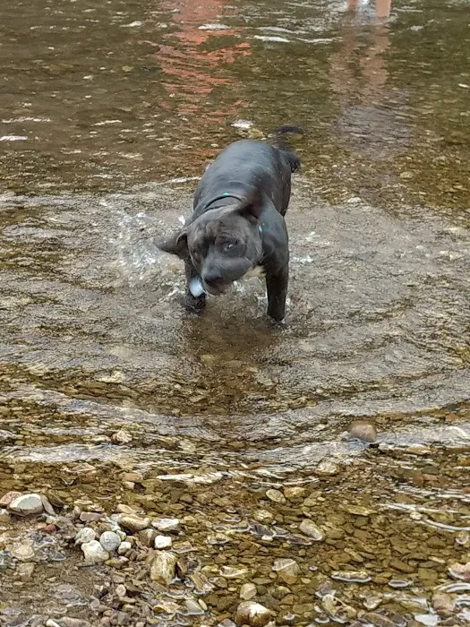Underwood's Crag-O-Lea Campground Picture 3