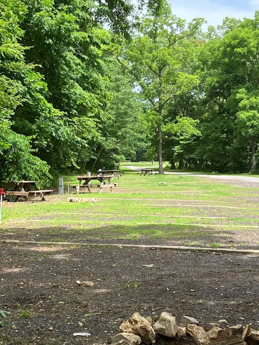 Echota Village Store & RV Park Picture 4