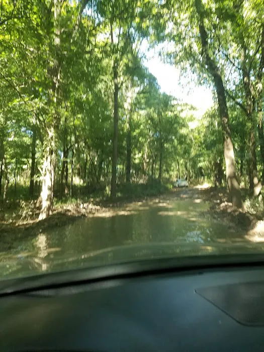 Baron Fork Creek Boy Scout Hole Picture 8