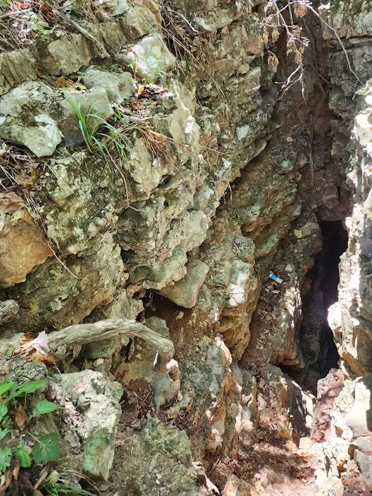 Shultz Creek Campground & Off-road Park Picture 5