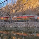 Butler Bluff Resort and Camping