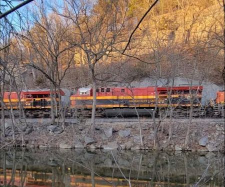 Butler Bluff Resort and Camping