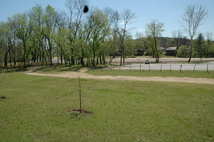 Shady Beach Floats Picture 6