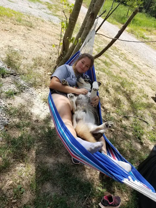 CRYSTAL SPRINGS RV RESORT Picture 5