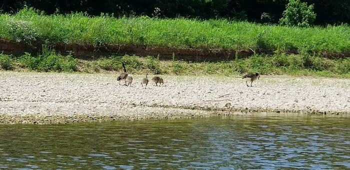 Hog Heaven Canoe & Camp Picture 2