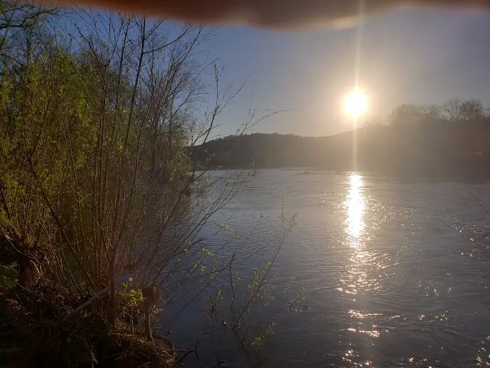 Hog Heaven Canoe & Camp Picture 6