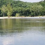 Hog Heaven Canoe & Camp