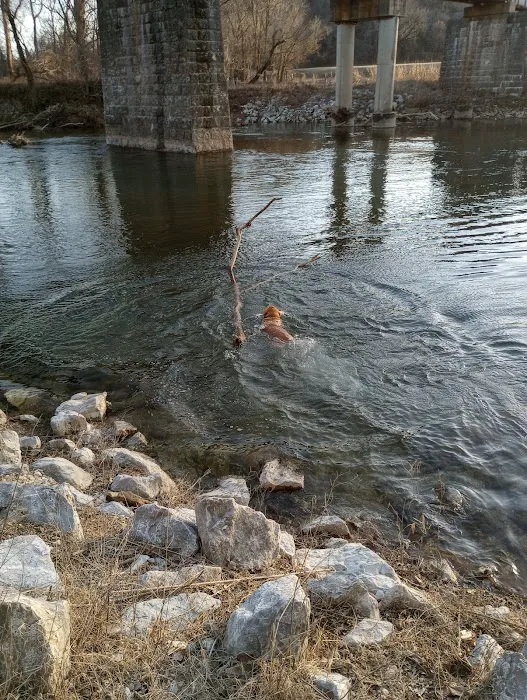 Eagles Nest Camp & Canoe Picture 3