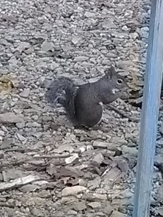 Eagles Nest Camp & Canoe Picture 2