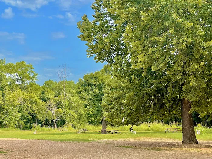 Elk River Campground (Trestle Park) Picture 4