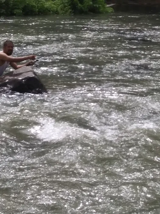 Sandbar Campground Picture 10