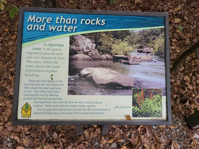 Sandbar Campground Picture 6