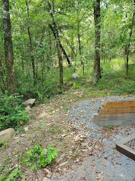 Ed Banks Campsite 2 Picture 3