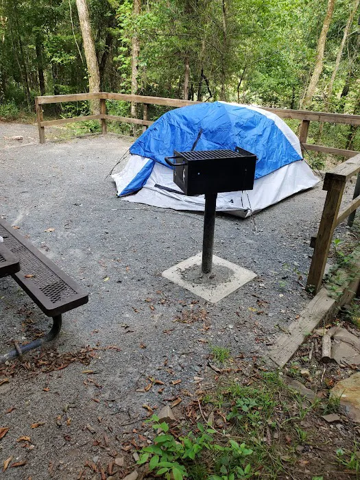 Ed Banks Campsite 2 Picture 4