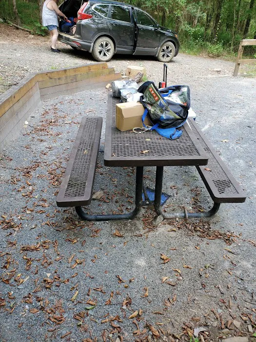 Ed Banks Campsite 2 Picture 2