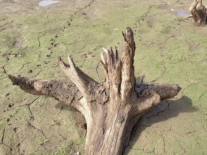 Recreation Area With Campground Picture 6